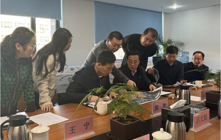 1733472345862.png 1733472345862.png